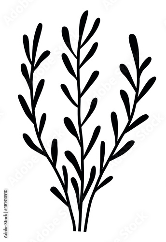 Twigs with leaves, decorative silhouettes of plants, algae, lichens, ears for decoration