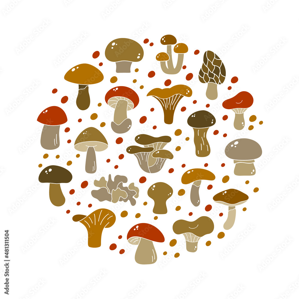 Fototapeta premium Cartoon edible mushrooms, brown round illustration. Color silhouette elements. Champignon, chanterelle, boletus, porcini, russula, shiitake. Contour vector icons on white background
