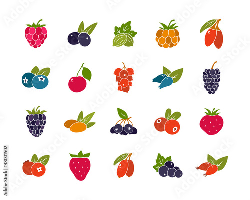 Berries with leaves, color silhouette icons set. Simple vector contour of blueberry, blackberry, cranberry, lingonberry, currant, gooseberry, goji. Hand drawn isolated collection on white background