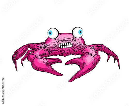 Crazy funny crab sketch. linear sea cance. Vector illustration