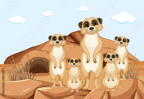 Group of cute meerkats Southern African animal
