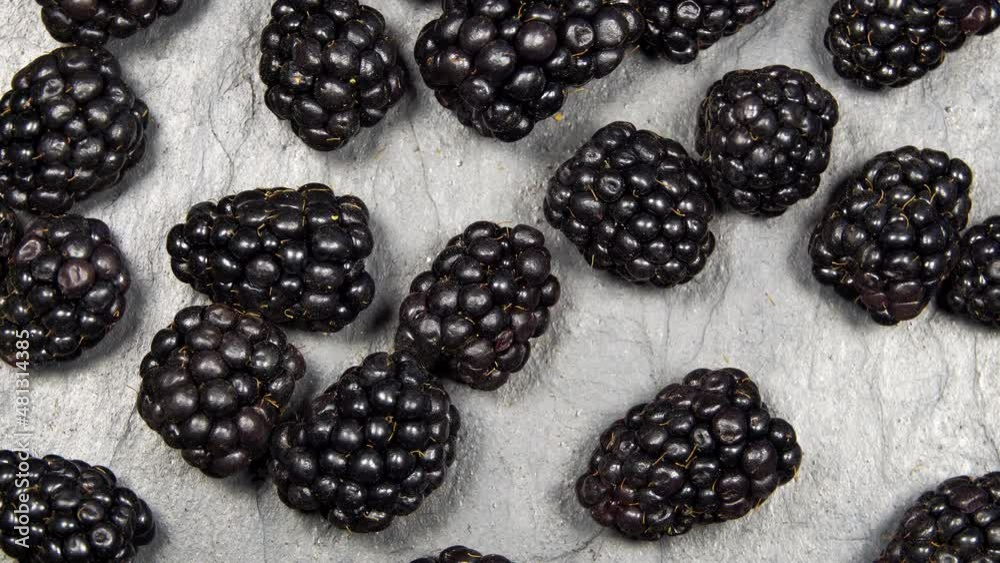 Fresh blackberries rotation background Fresh blackberries rotation background