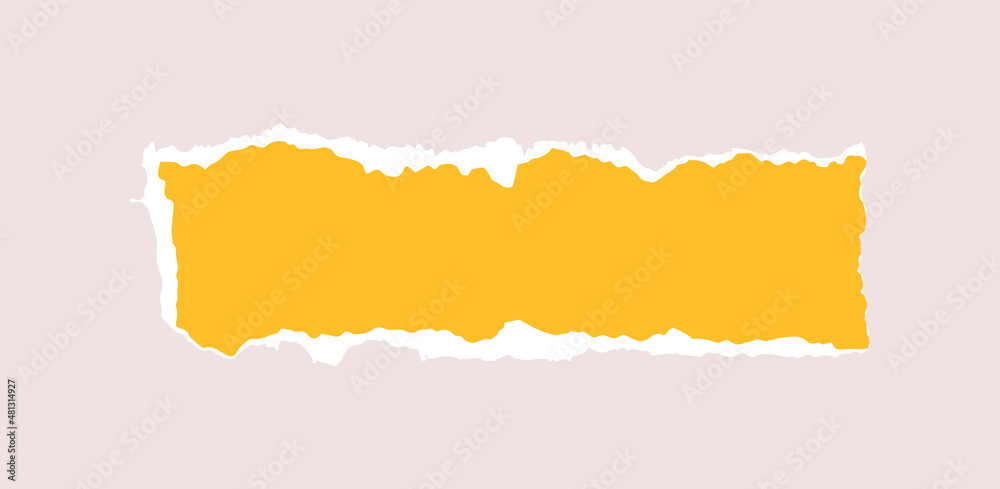 Torn piece of paper isolated. Rectangle piece of paper with a torn edge. Vector illustration of a geometric shape with a white torn edge. Torn piece of paper isolated. Rectangle piece of paper with a torn edge. Vector illustration of a geometric shape with a white torn edge.