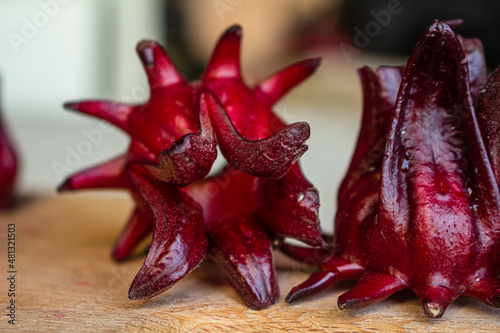 Roselle red subshrub plant (Hibiscus sabdariffa). Tropical flower, used to make infusion and juice photo