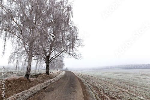 Winter countryside road, trees and pastures. Czechia © Sergey Fedoskin