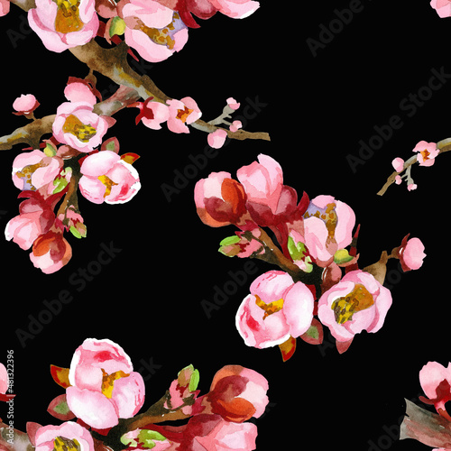 Seamless pattern watercolor. Spring flowers;Apricot blooming branches pink isolated on black background.