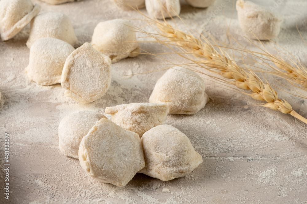 Raw dumplings on a white table with wheat and flour. Raw dumplings on a white table with wheat and flour.
