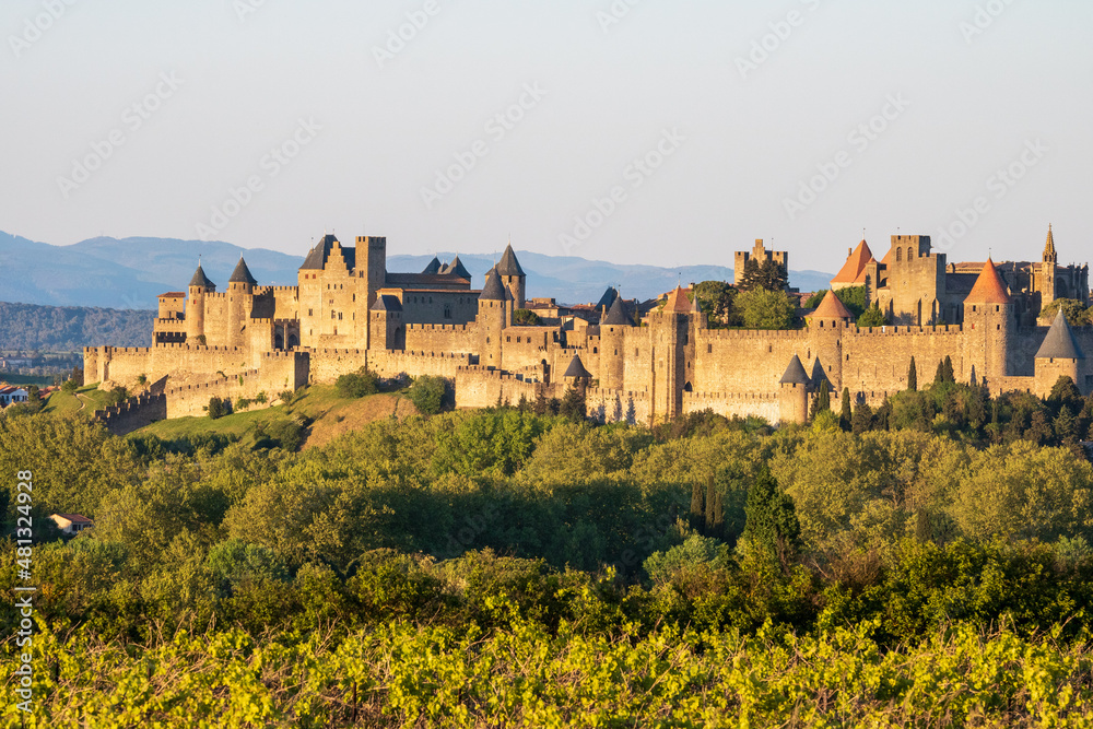 La Cité de Carcassonne au crépuscule - Aude