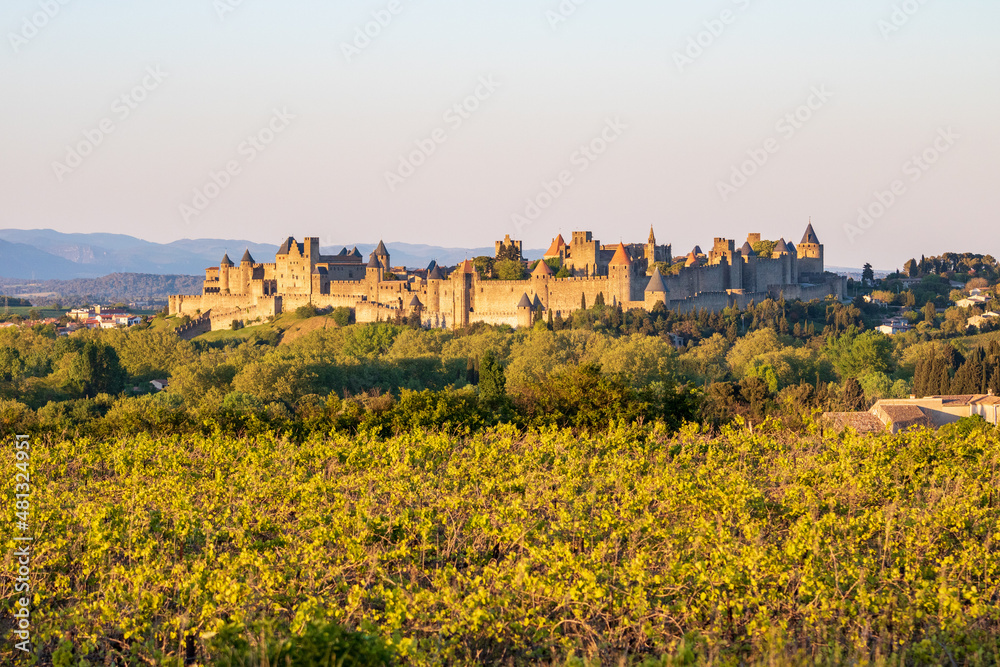 La Cité de Carcassonne au crépuscule - Aude