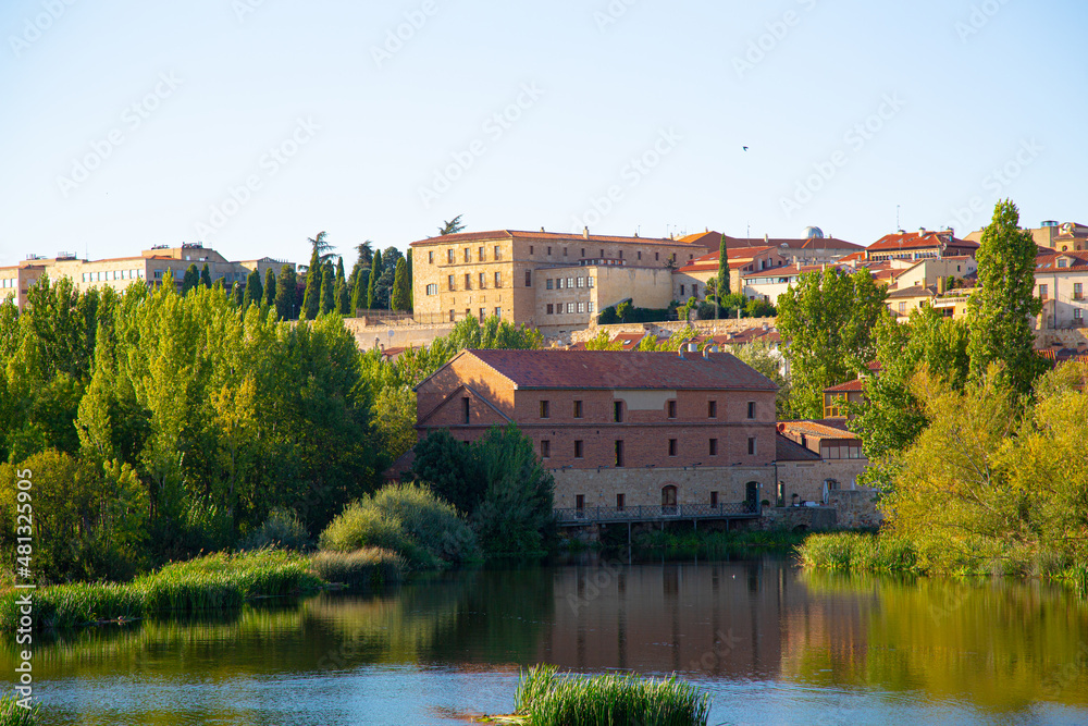 Vista de edificios antiguos y monasterios en Salamanca