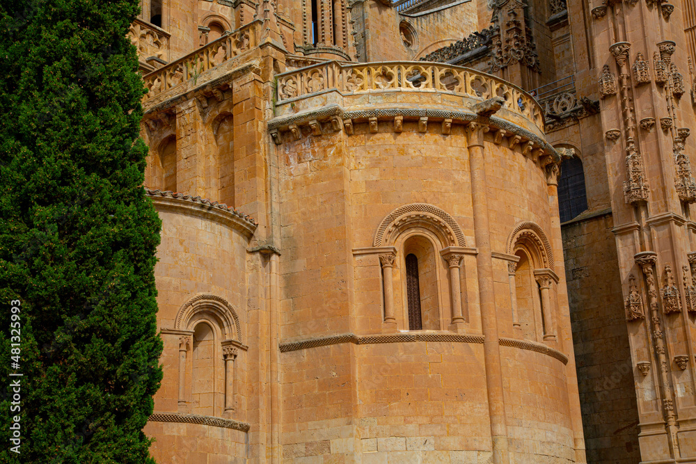 Vista de catedral de Salamanca, fachadas y detalles de trabajo en piedra
