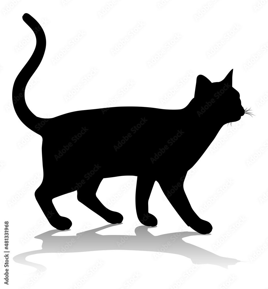 Silhouette Cat Pet Animal