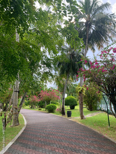A day in the Maldives, a paved road among palms, bushes and trees with red flowers