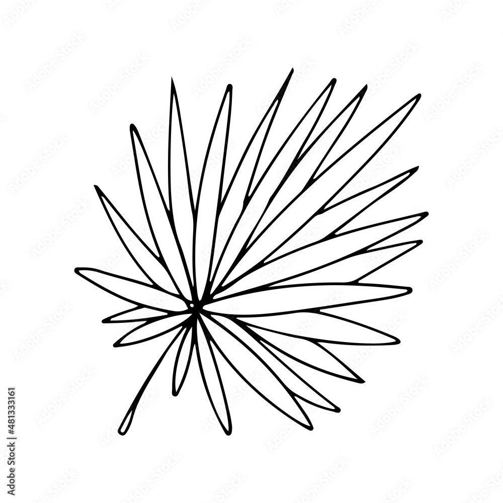 A simple leaf of a Summer plant. Vector illustration isolated on a white background.