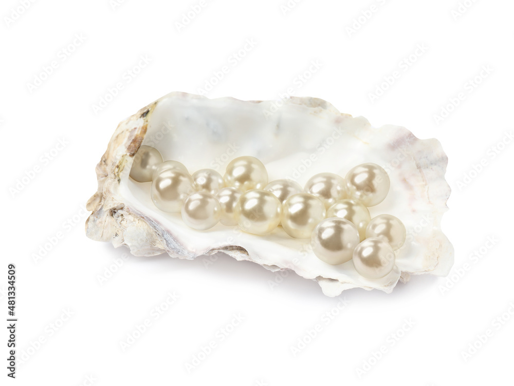 Oyster shell with pearls on white background Oyster shell with pearls on white background