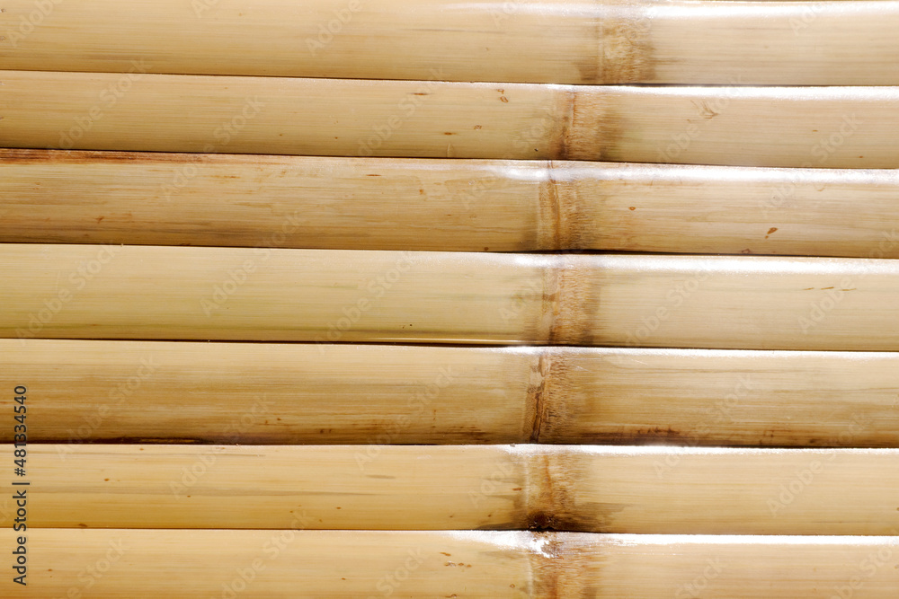 Bamboo Wood pattern for nature Background. Bamboo Wood pattern for nature Background.