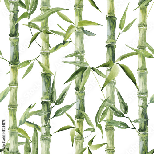 Green bamboo forest seamless pattern. Watercolor repeating background. © Ann Lou
