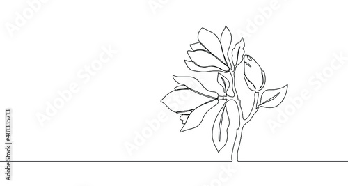 Magnolia. One single line. Vector illustration. Doodle floral border