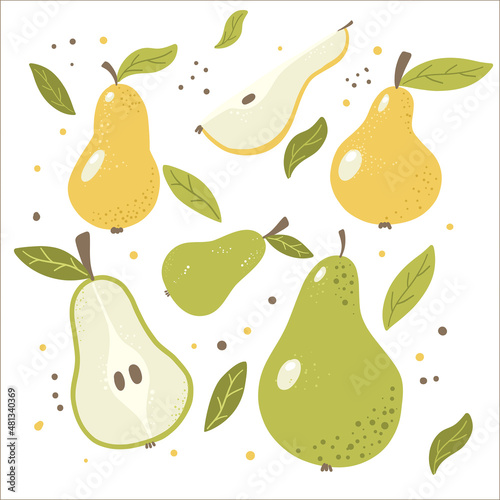 Juicy pears with leaves and slices. Vector illustration isolated on a white background. Vector illustration