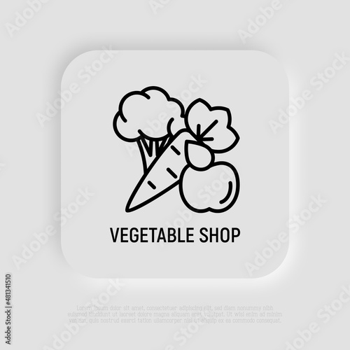 Organic shop, vegetables: apple, broccoli, carrot. Thin line icon. Healthy food. Vector illustration.