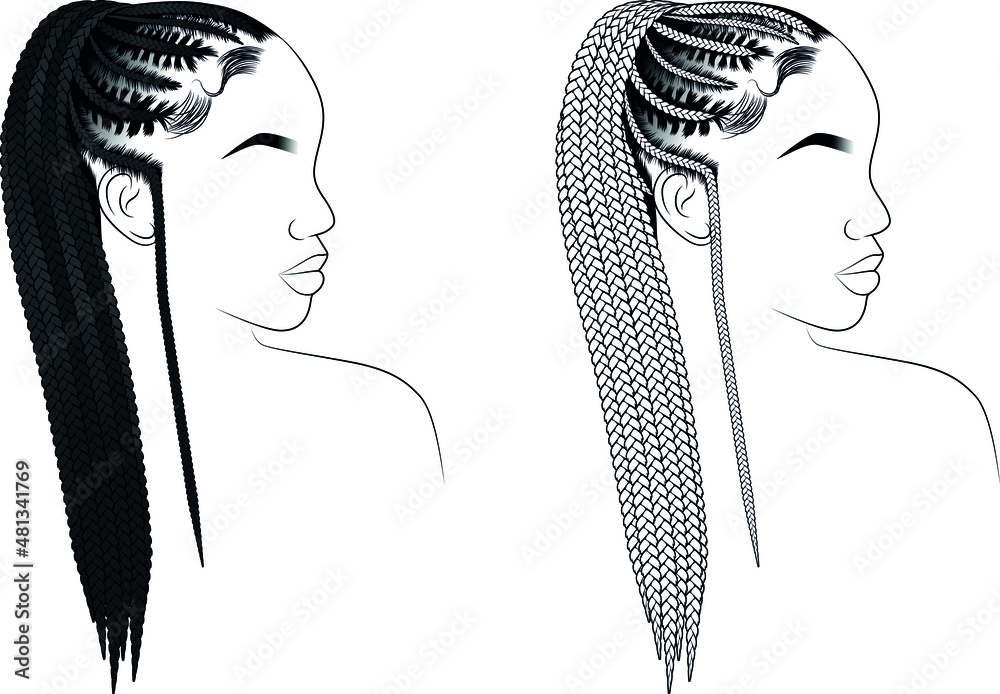 Cornrow Braid Hairstyles Braid Hairs Afro Hair Braided Hair Stock