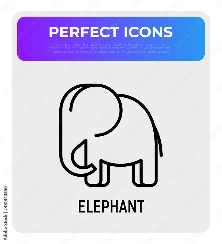 Obraz premium Cartoon elephant thin line icon. Modern vector illustration.