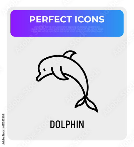 Cartoon jumping  dolphin thin line icon. Modern vector illustration.