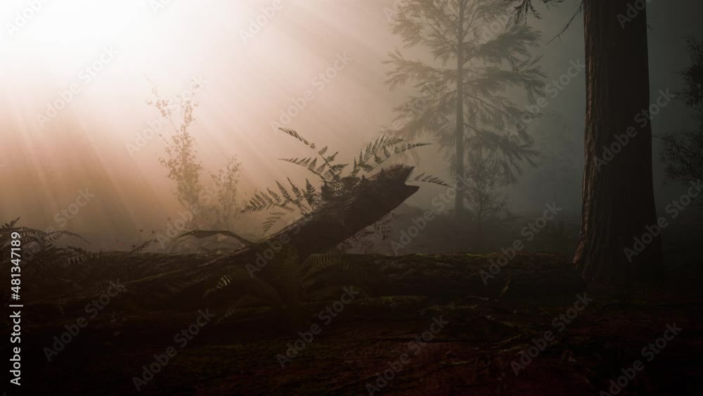 Mysterious Fairy Tale Deep Magic Forest Mysterious Fairy Tale Deep Magic Forest