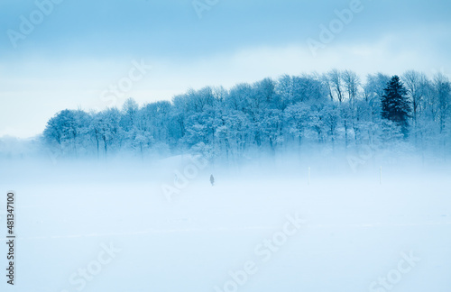 Foggy winter landscape. People walking on the frozen sea. Snow covered trees.