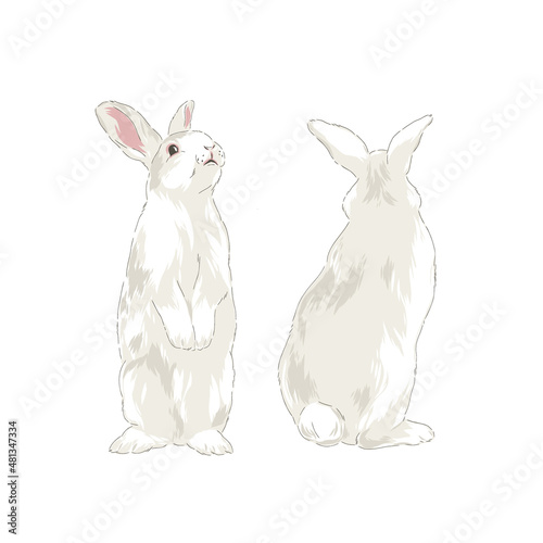 Cute spring Easter bunny hand drawn vector illustration set isolated on white. Vintage classic aesthetic print.