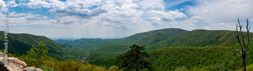 Panoramic view of Shenandoah National Park, Virginia, USA photo