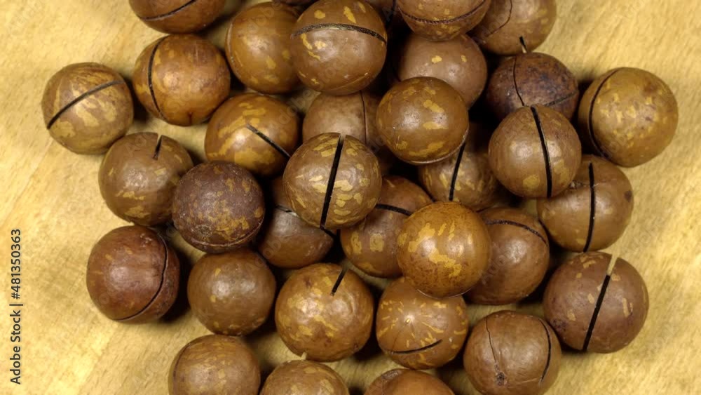 Macadamia nuts rotation background. Close up Macadamia nuts rotation background. Close up