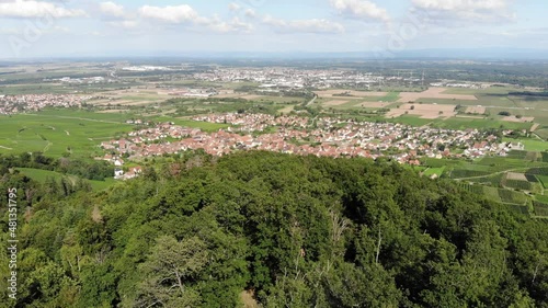 Aerial shot of Alsace, Eastern France. Camera fly low over treetops at forested hill, old Alsatian town, Kintzheim, seen at bottom. Selestat city and Upper Rhine Plain perspective visible at backdrop photo