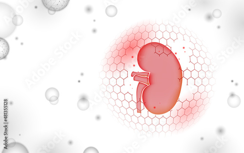 Low poly 3D human kidney shield protect. Medicine recovery technology drug medicine concept. Vector illustration