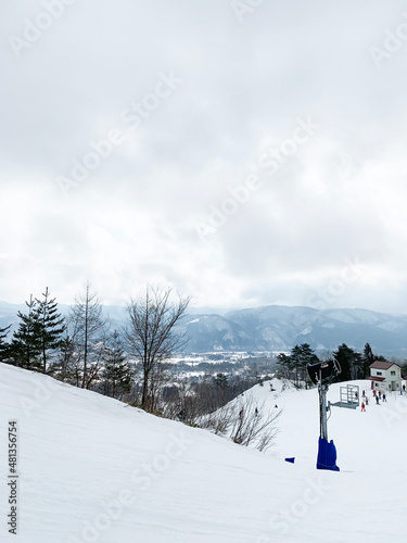 나가노 하쿠바 츠가이케 스키장 栂池, 나무와 산이 어울어진 풍경 / Nagano Hakuba Tsugaike Ski Resort, a view of trees and mountains
