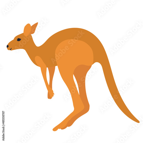 kangaroo, flat design on white background, isolated, vector