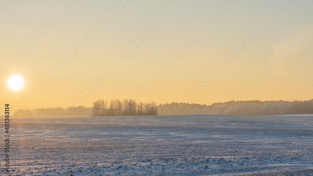 Winter landscape in snow nature with sun, field and trees. Magical winter sunset in a snow field.
