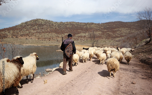 shepherd and flock of sheep