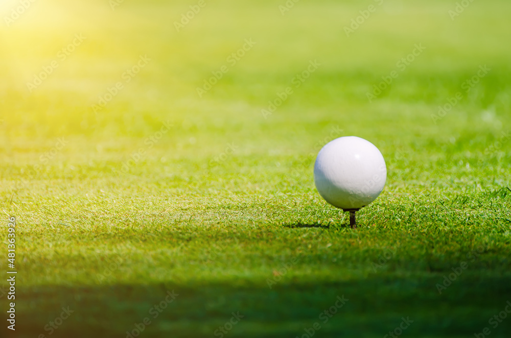 Golf ball on grass Golf ball on grass
