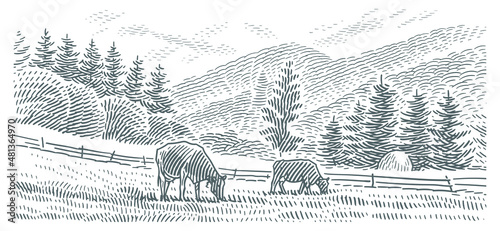 Cows grazing in a mountains landscape vector line engraving style illustration. Vector. 	
