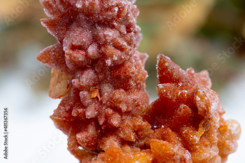 Принти на полотні zircon .mineral specimen stone rock geology gem crystal