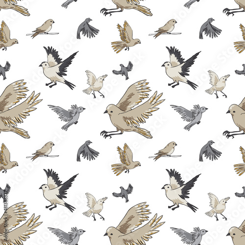 Vector repeatable seamless pattern with the different kinds of birds.