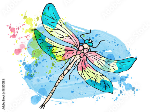 A multicolored dragonfly hand-painted on a watercolor pastel blue background. Isolated object on a white background. Manual drawing. Vector illustration.