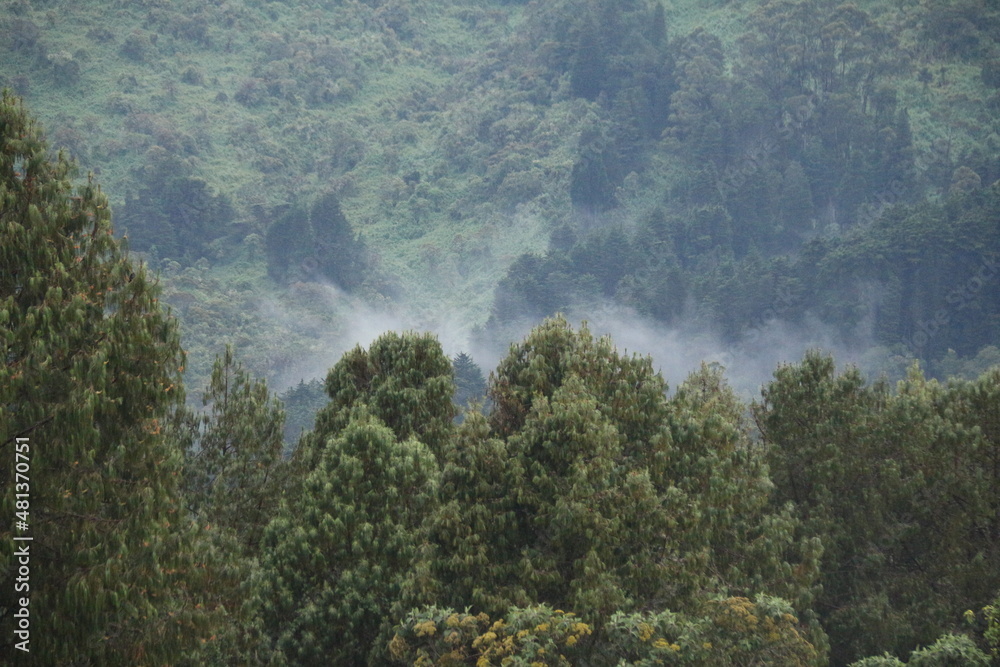 Foggy mountains just outside of Bogota, Colombia Foggy mountains just outside of Bogota, Colombia