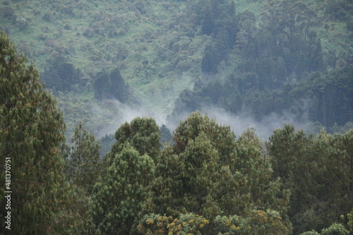 Foggy mountains just outside of Bogota, Colombia © Tristan