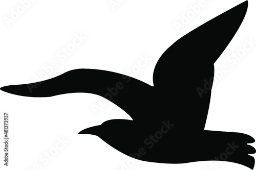 silhouette of a dove