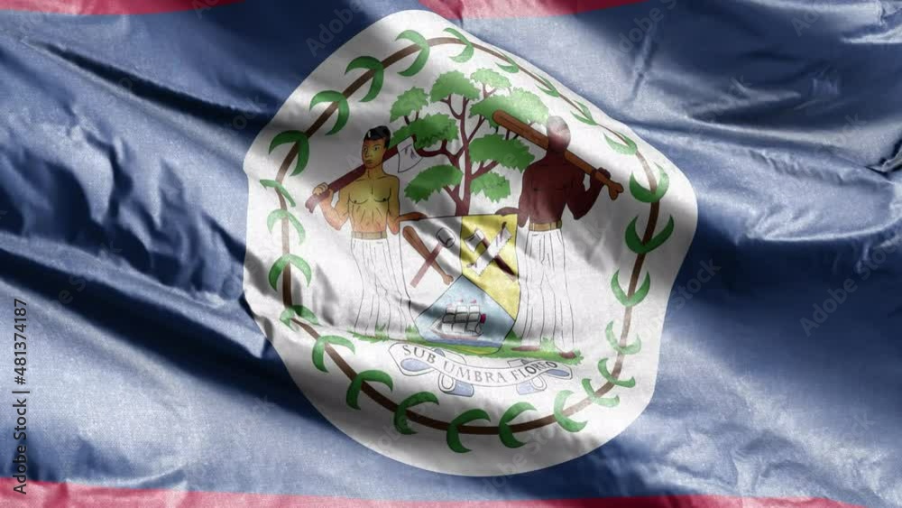 Belize textile flag waving on the wind loop. Belizean banner swaying on ...