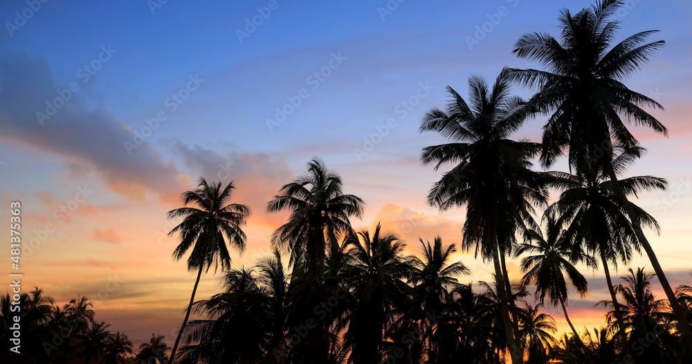 The Silhouette of palm trees with sunset sky background,Summer tropical season time mood concept The Silhouette of palm trees with sunset sky background,Summer tropical season time mood concept