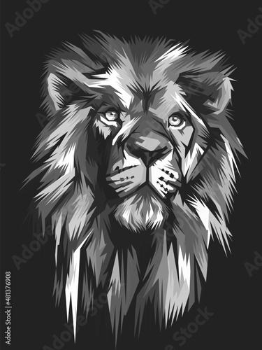 lion head vector Illustration photo
