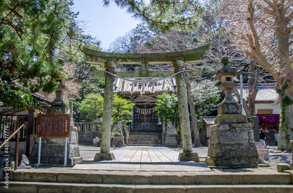伊豆稲取で有名な神社といえば八幡神社です。境内二つ目の石でできた鳥居は貞享四年（１６８７年）建立です。